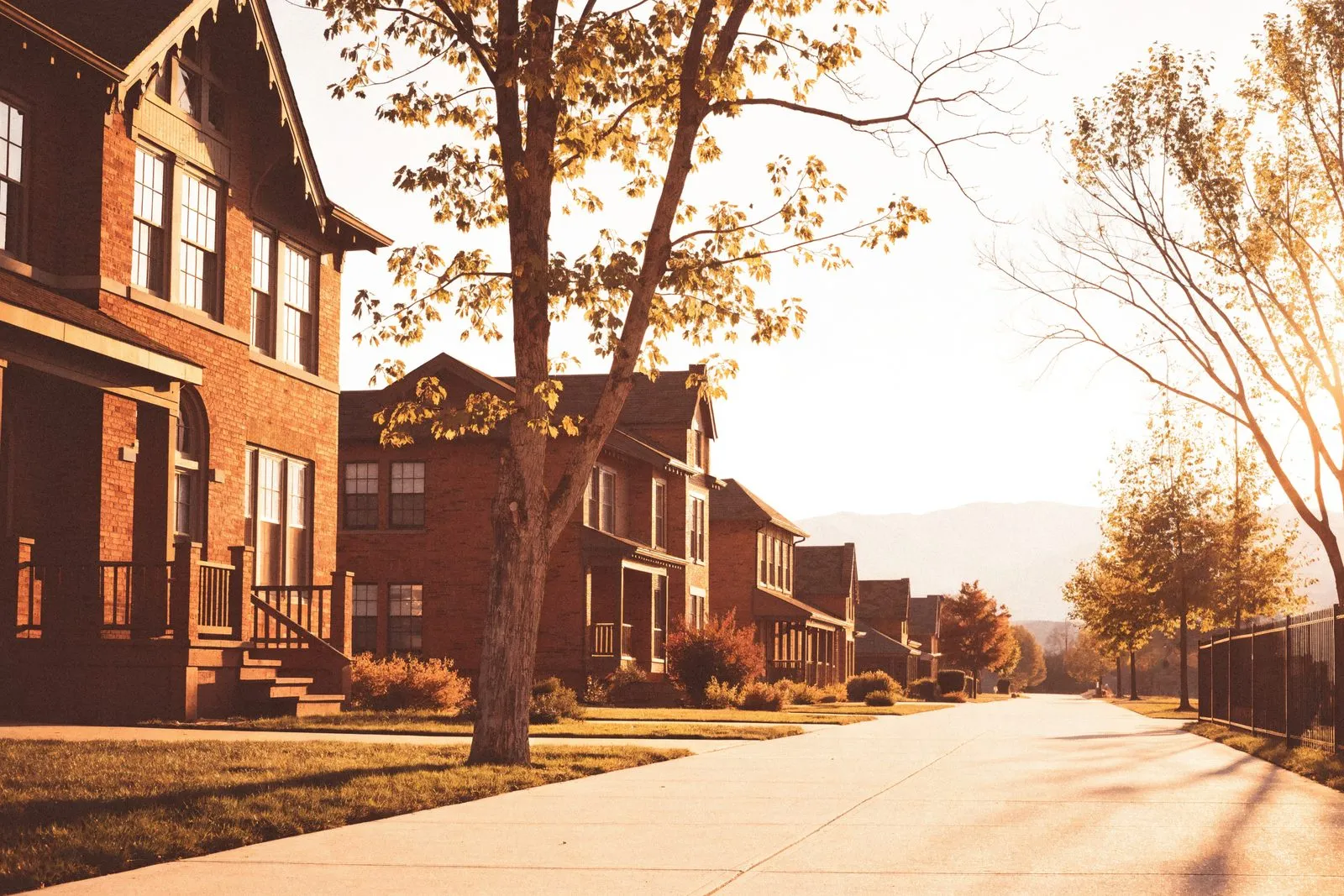 Denver real estate team territory: a residential Denver street in early autumn